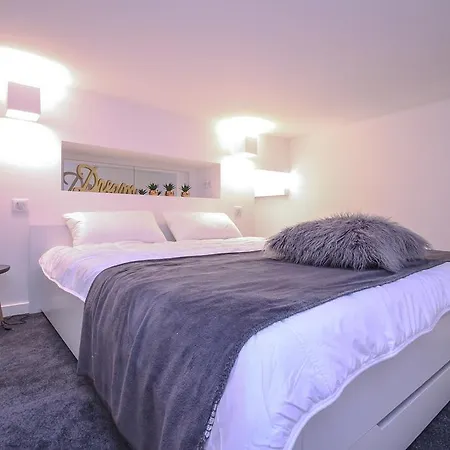 Plein Etats Unis Apartamento Cannes